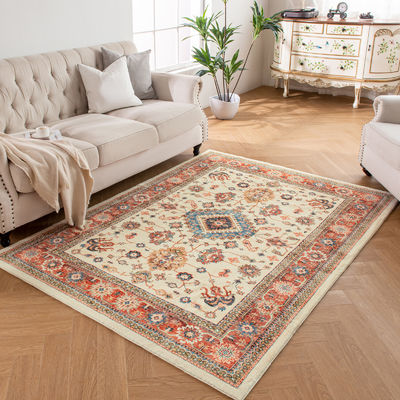 Customizable Modern Living Room Floor Carpet Support Customization and European Style
