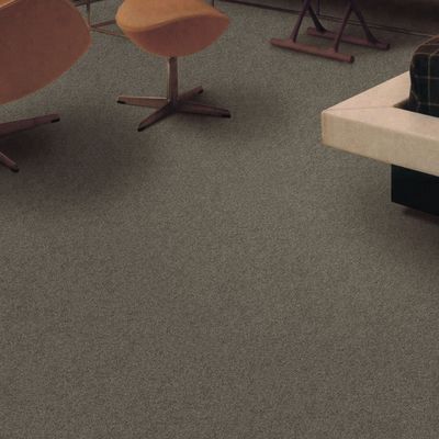 3.66m Width 7mm Pile Height Cut Loop Wall-to-Wall Carpet Roll for Hotel Rooms Living Rooms Bedrooms Prayer-PP Material