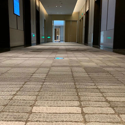 Custom Made Living Room Decorative Area Rug Hand Tufted Carpet Wool Carpet Alfombra