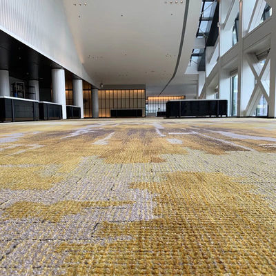 Hand Tufted Wool Alfombra for Living Room Decorative Area Rug in Commercial Interior